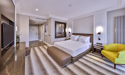 Superior Deluxe Oda Şehir Manzaralı 
